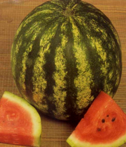 pepene verde crimson