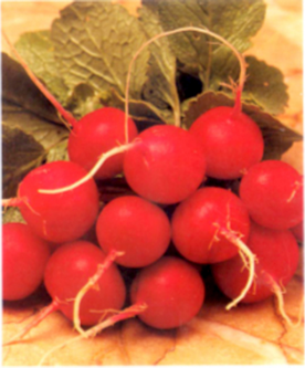 ridichi cherry