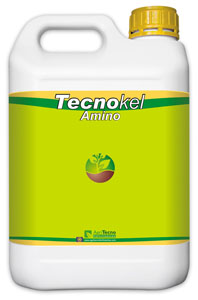 5L-tecnokel-amino